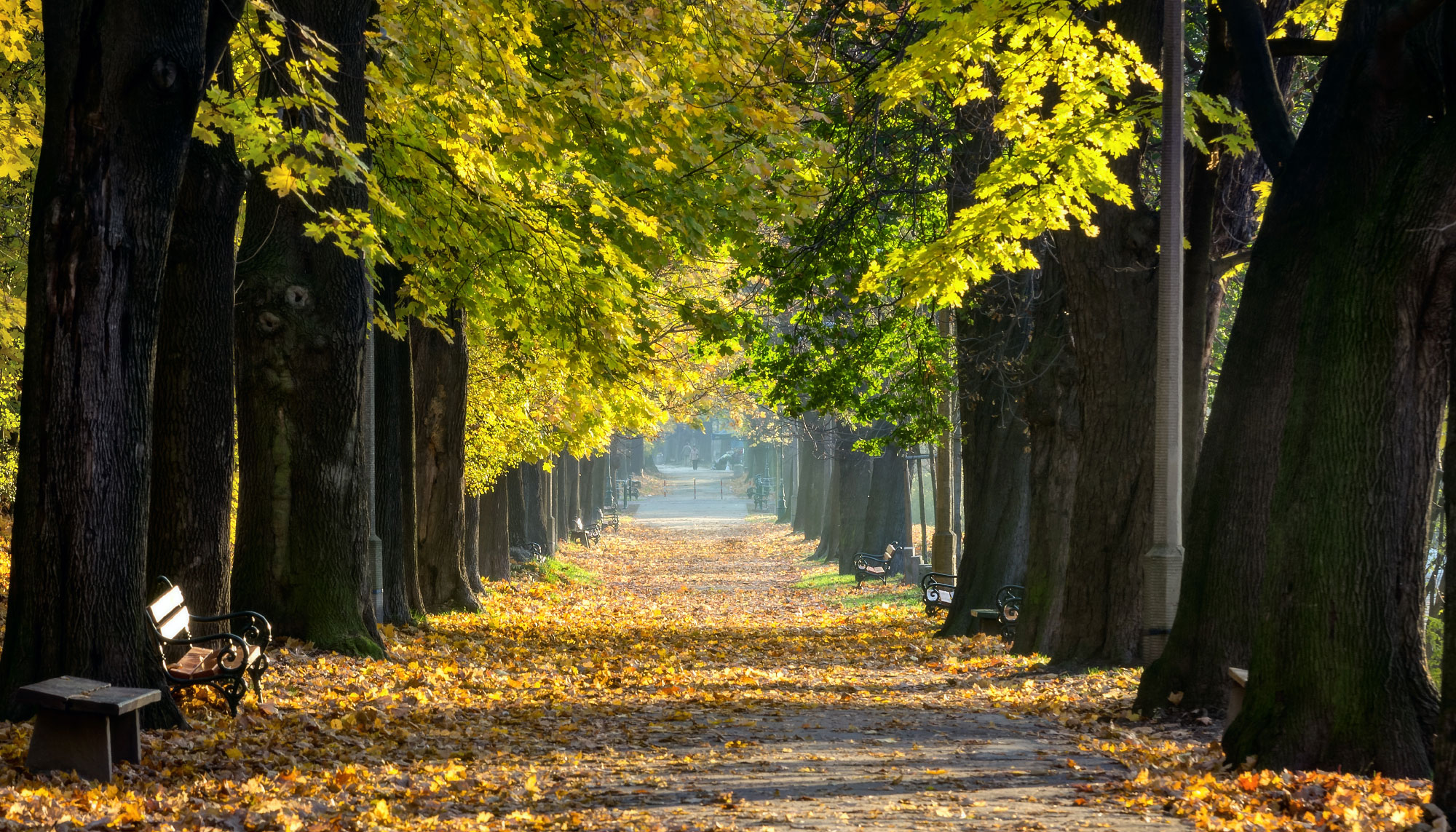 Krakow